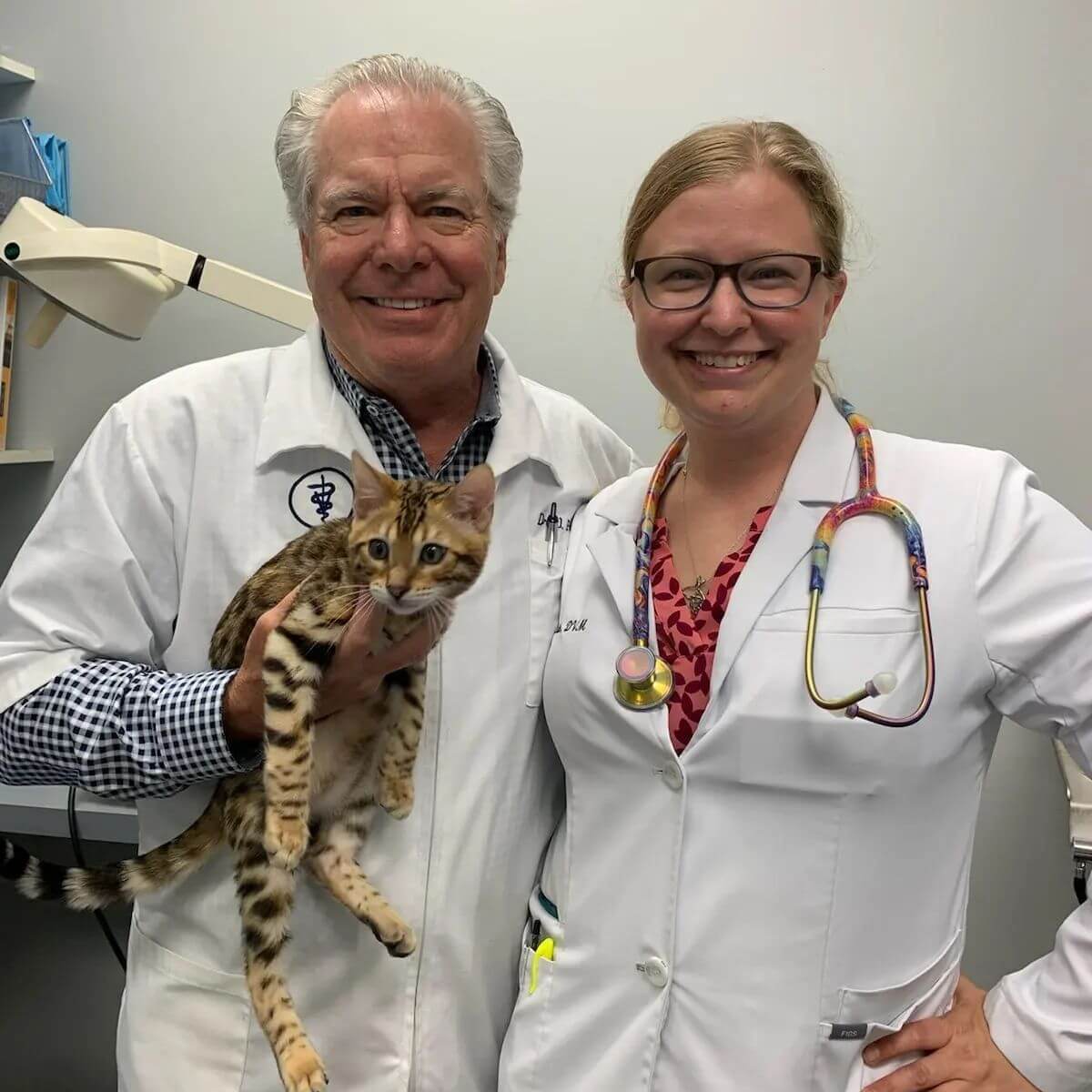 veterinarians at the vet hospital in Loveland and Cincinnati, OH