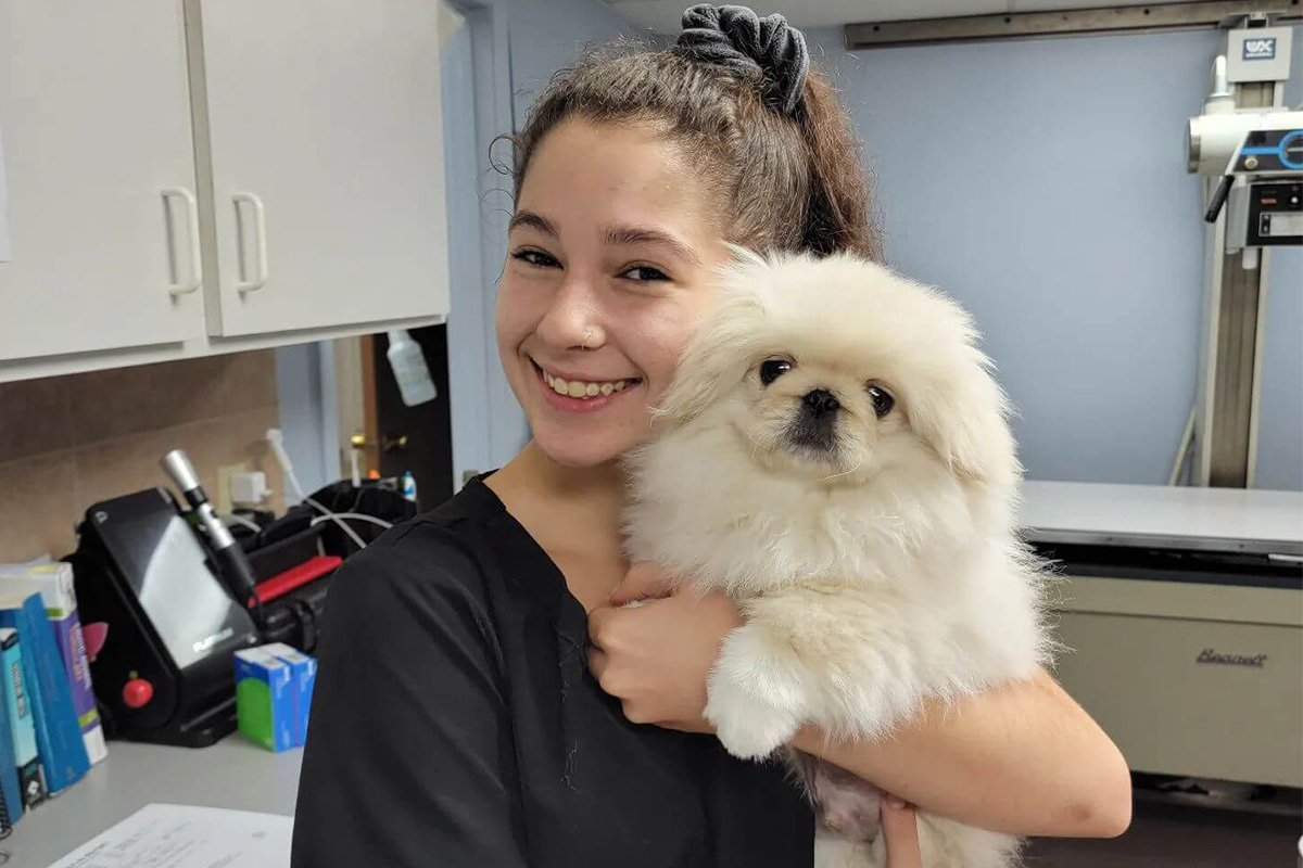 veterinarian holding dog at vet hospital in Loveland and Cincinnati
