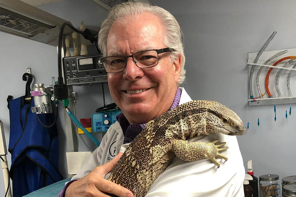 veterinarian holding large lizard at vet hospital in Loveland and Cincinnati