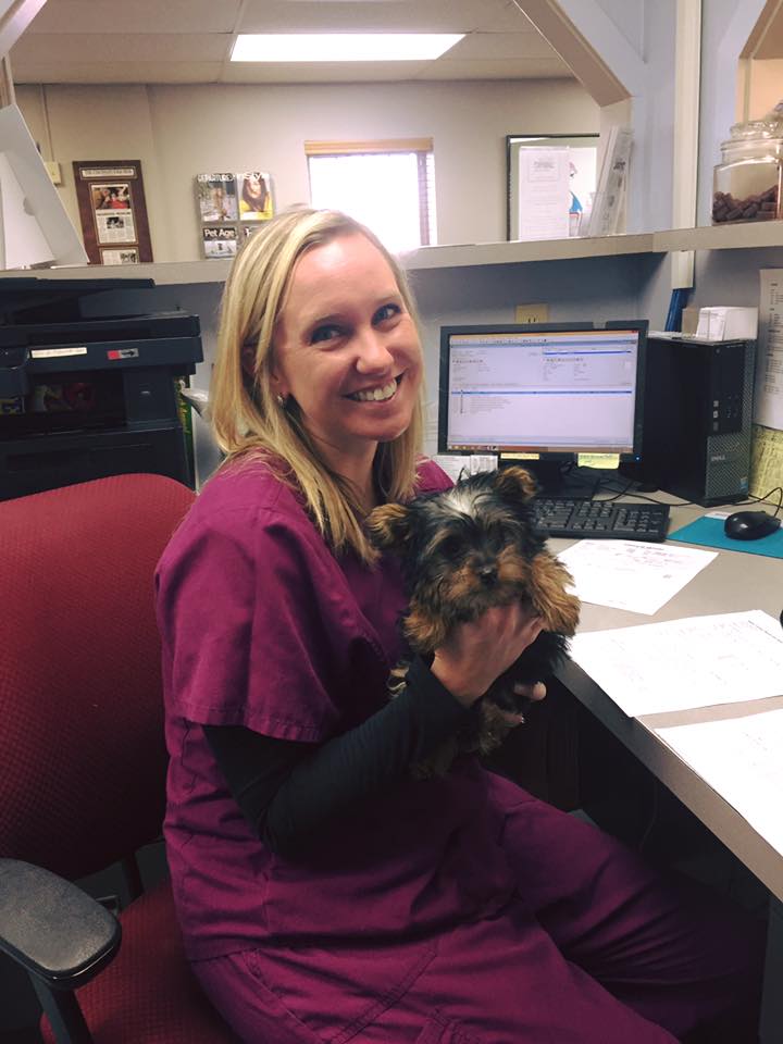 team member holding dog at vet hospital in Loveland and Cincinnati